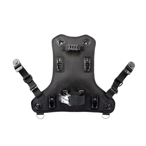 BCD - Aqualung Rogue Back Assembly