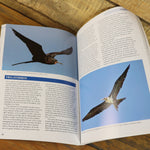 Gardening Books - Guide To Seabirds Of Southern Africa