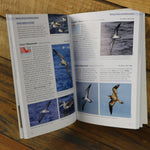 Gardening Books - Guide To Seabirds Of Southern Africa