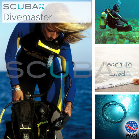 PADI Course - * PADI Dive Master Special